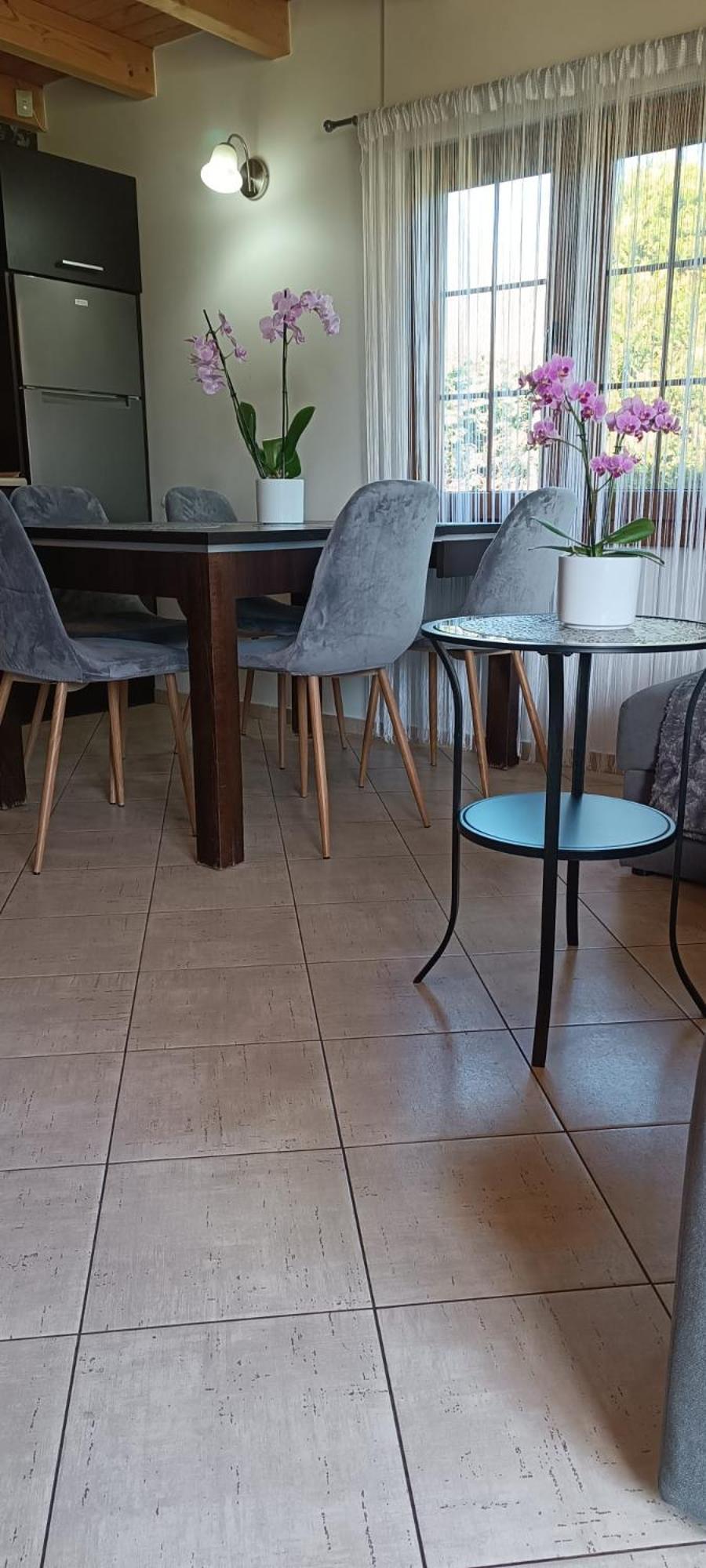 Diament Rogowo Villa Rogowo  Eksteriør billede